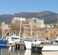 Private Mt Wellington Richmond Bonorong Wildlife Sanctuary Tour from Hobart - Attractions Perth