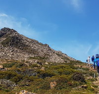 Hartz Peak Hiking Tour - Hartz Mountains National Park - Attractions Perth