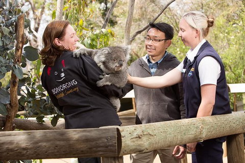 3 Of Hobart's Best Experiences In One Day - Mt Wellington, Richmond And Bonorong - Attractions Perth 0
