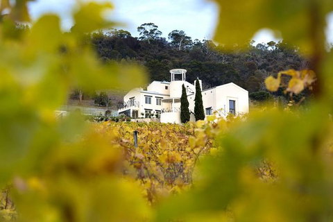 7- 8 Hour StelaVino Guided Wine Tours From Hobart - Attractions Perth 22