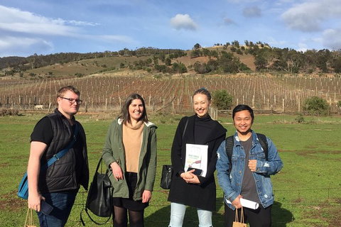 7- 8 Hour StelaVino Guided Wine Tours From Hobart - Attractions Perth 13