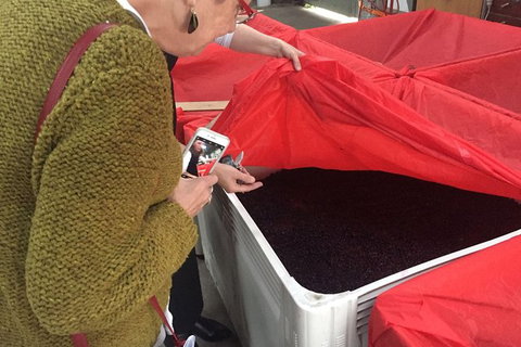 7- 8 Hour StelaVino Guided Wine Tours From Hobart - Attractions Perth 20