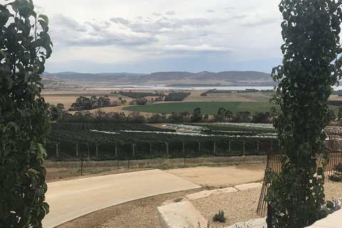 7- 8 Hour StelaVino Guided Wine Tours From Hobart - Attractions Perth 10