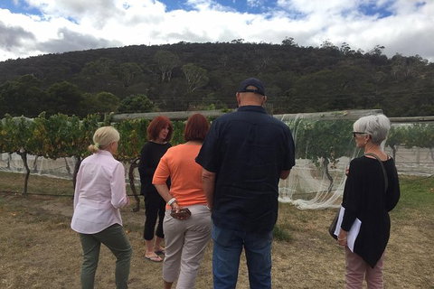 7- 8 Hour StelaVino Guided Wine Tours From Hobart - Attractions Perth 9