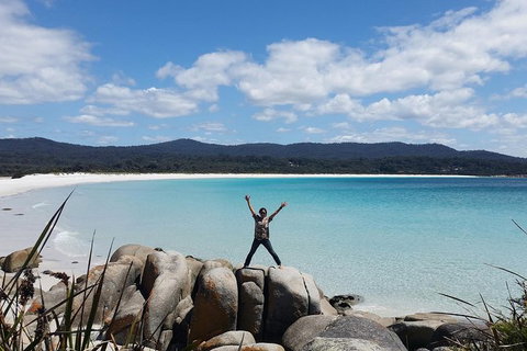 Tasmania 4 Day East Coast + Launceston - Attractions Perth 5