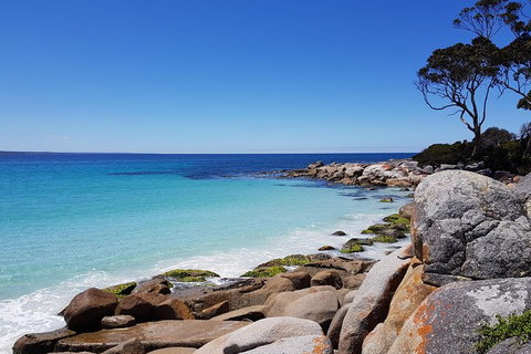 Tasmania 4 Day East Coast + Launceston - Attractions Perth 2