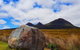 Tasmania 13 Day Premium Tour - thumb 1