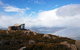 Kunanyi/Mt Wellington Tour & Hobart Hop-On Hop-Off Bus - thumb 8