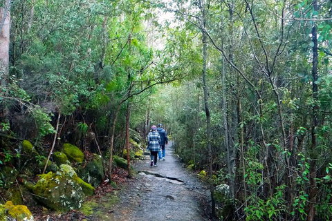 Kunanyi/Mt Wellington Tour & Hobart Hop-On Hop-Off Bus - Attractions Perth 5
