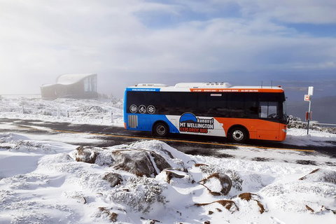 Kunanyi/Mt Wellington Tour & Hobart Hop-On Hop-Off Bus - Attractions Perth 4