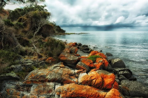Hobart\'s Best: City, Nature, Wildlife, And Fine Cuisine - Attractions Perth 6