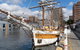 Hobart\'s Best: City, Nature, Wildlife, And Fine Cuisine - thumb 4