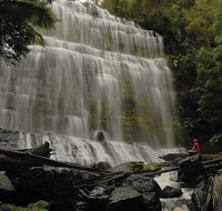 Guided Shore Excursion Mt Field National Park Salmon Ponds Bonorong Wildlife - Attractions Perth