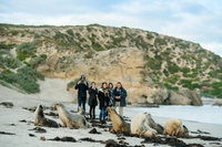 Small-Group Kangaroo Island 4WD Tour from Adelaide
