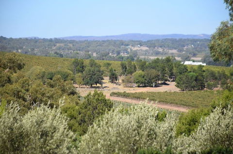 Barossa Valley Food And Wine Tour - Attractions Perth 2