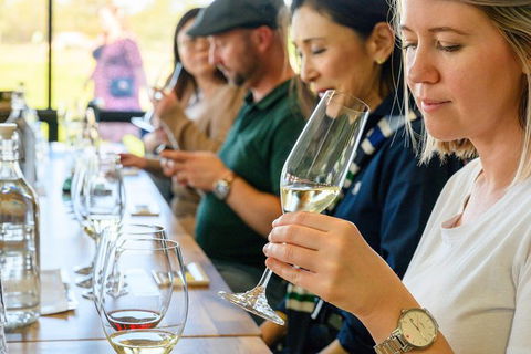 Barossa Valley Food And Wine Tour - Attractions Perth 11