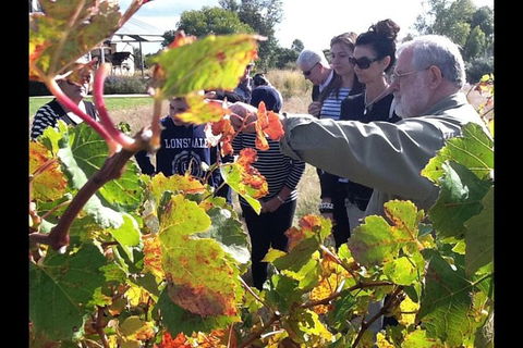 Barossa Valley Via Hahndorf ( Historical German Village ) Inc Maggie Beers Farm - Attractions Perth 4