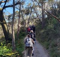 Mount Lofty Hike and Cleland Wildlife Park Day Trip from Adelaide - Attractions Perth