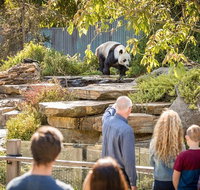 Adelaide Zoo Behind the Scenes Experience Panda and Friends Tour - Attractions Perth
