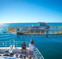 2 Hour Aquarium Tour - Attractions Perth