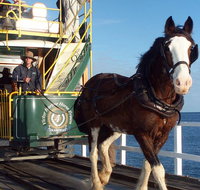 Full-Day Tour in South Australia Highlights - Attractions Perth