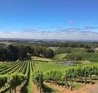 Small-Group Full-Day Adelaide Hills and Hahndorf Wine Tour from Adelaide - Attractions Perth