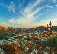 7-Night Murraylands and Wildlife Cruise - Attractions Perth