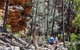 6-Day Eyre Peninsula & Flinders Ranges Adventure Tour - thumb 12