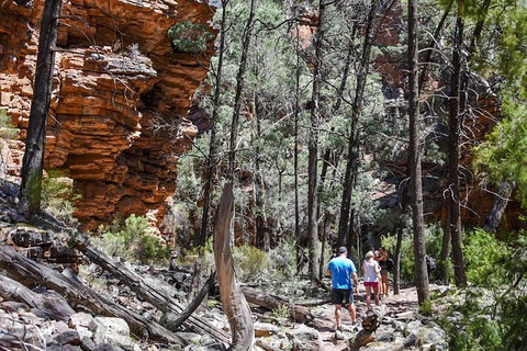 6-Day Eyre Peninsula & Flinders Ranges Adventure Tour - Attractions Perth 12