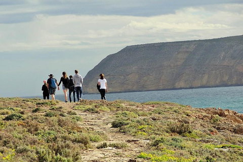 6-Day Eyre Peninsula & Flinders Ranges Adventure Tour - Attractions Perth 4
