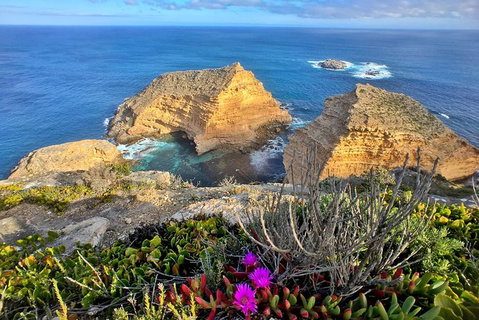 6-Day Eyre Peninsula & Flinders Ranges Adventure Tour - Attractions Perth 10