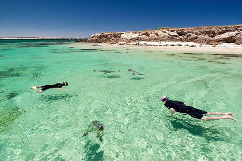 6-Day Eyre Peninsula & Flinders Ranges Adventure Tour - Attractions Perth 6