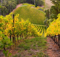 Private Adelaide Hills Wine Region Tour
