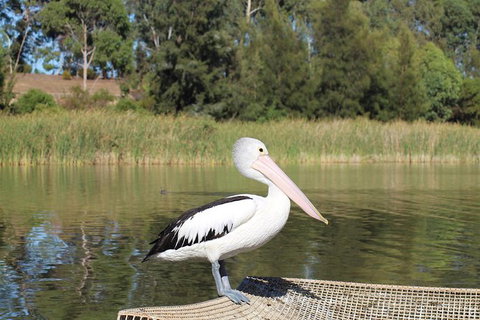 Private Arrival Transfer From Adelaide Airport To Adelaide City - Attractions Perth 1