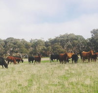 Waitpinga Farm Quad-Bike Tour - Attractions Perth