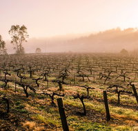 Barossa Valley Private Tour It's your tour the way you want it. - Attractions Perth