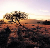 Adelaide To Coober Pedy 7 DAY SMALL GROUP 4WD SAFARI - Attractions Perth