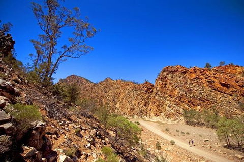 Lake Eyre And Flinders Ranges 4 Day Small Group 4WD Eco Safari - Attractions Perth 9