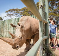 Rhino Interactive and a day at Monarto Safari Park - Attractions Perth