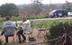 Enjoy The Barossa On A Budget - thumb 0