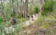 Mount Lofty Descent Bike Tour From Adelaide - thumb 5
