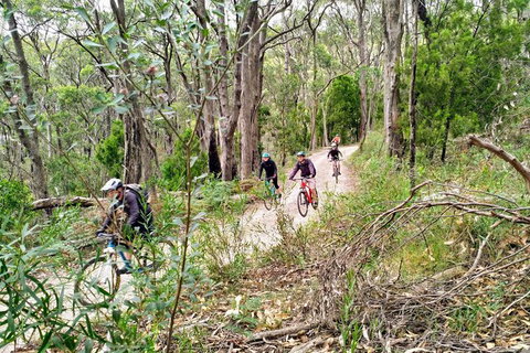 Mount Lofty Descent Bike Tour From Adelaide - Attractions Perth 5