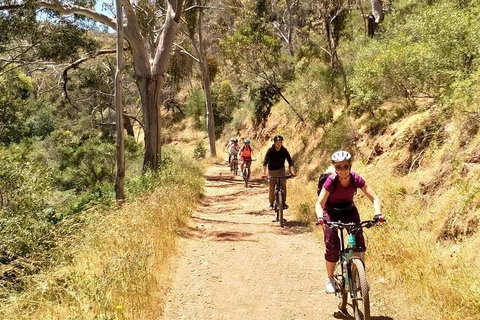 Mount Lofty Descent Bike Tour From Adelaide - Attractions Perth 3