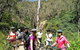 Mount Lofty Descent Bike Tour From Adelaide - thumb 2