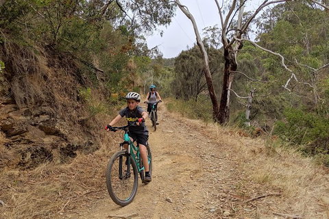 Mount Lofty Descent Bike Tour From Adelaide - Attractions Perth 8