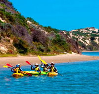 Half-Day Kayaking Tour in Coorong National Park