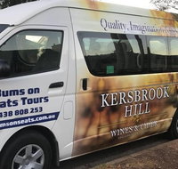 McLaren Vale Wine Region Full-Day Tour from Adelaide