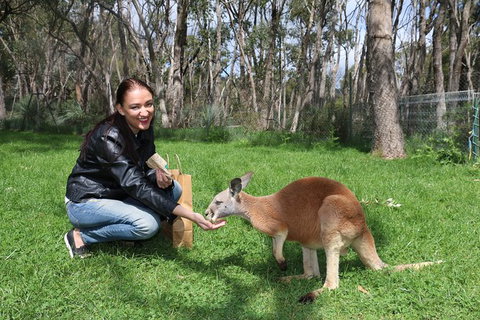 Cleland Wildlife Park Tour From Adelaide Including Mount Lofty Summit - Attractions Perth 1