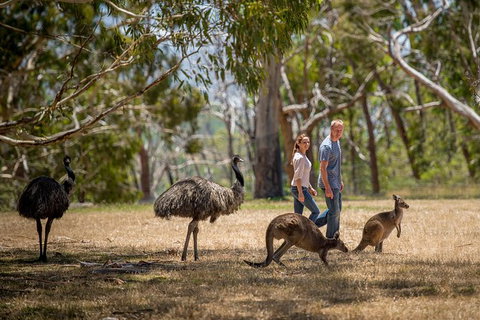 Cleland Wildlife Park Tour From Adelaide Including Mount Lofty Summit - Attractions Perth 5
