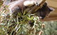 Cleland Wildlife Park Tour From Adelaide Including Mount Lofty Summit - thumb 9